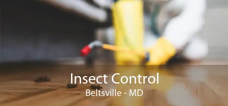 Insect Control Beltsville - MD