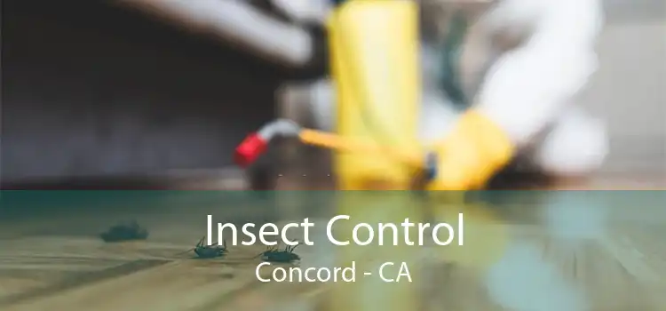 Insect Control Concord - CA