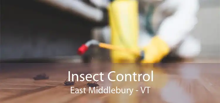 Insect Control East Middlebury - VT