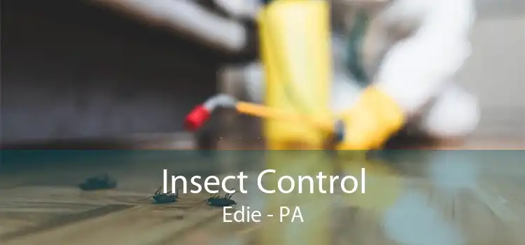 Insect Control Edie - PA