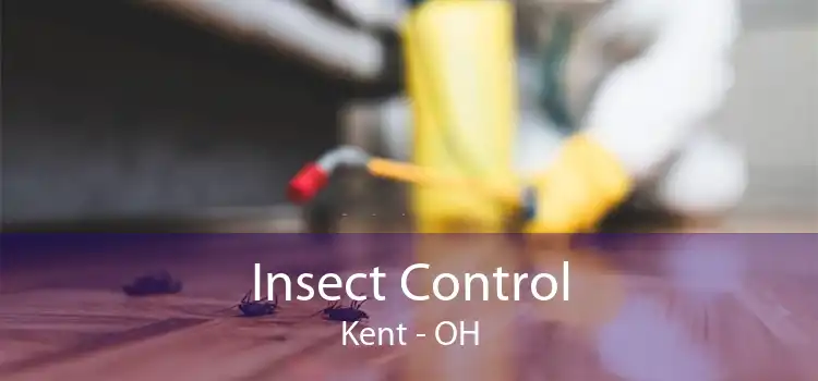 Insect Control Kent - OH