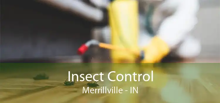 Insect Control Merrillville - IN