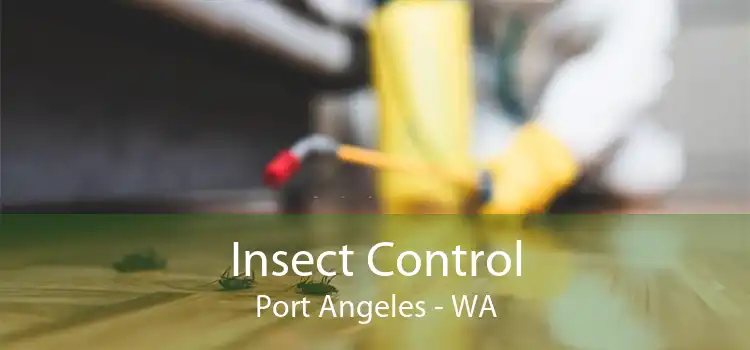 Insect Control Port Angeles - WA