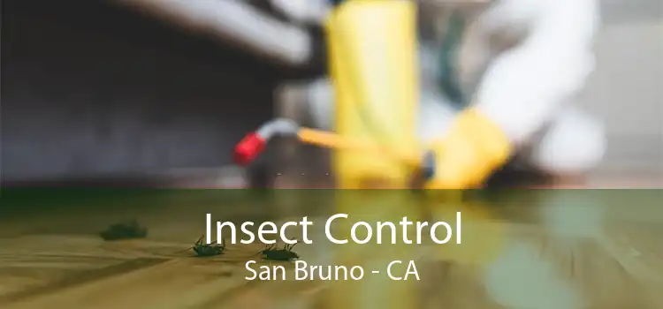 Insect Control San Bruno - CA