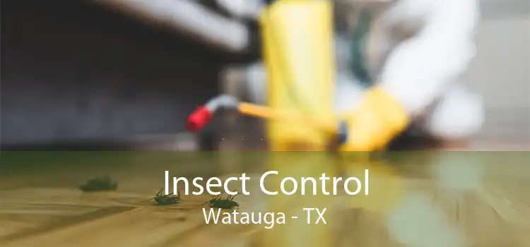 Insect Control Watauga - TX