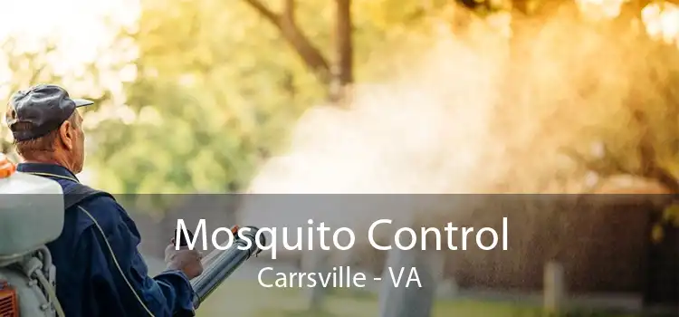 Mosquito Control Carrsville - VA