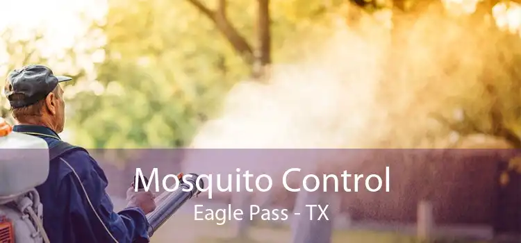 Mosquito Control Eagle Pass - TX