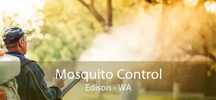 Mosquito Control Edison - WA