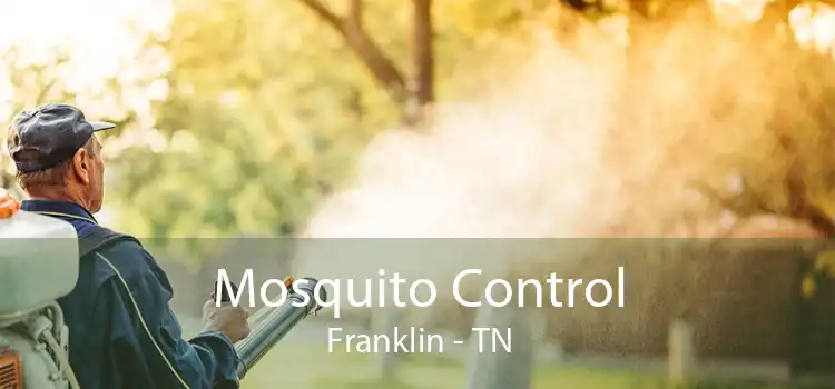 Mosquito Control Franklin - TN