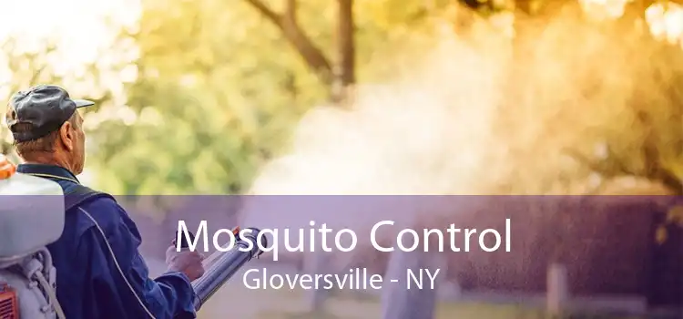 Mosquito Control Gloversville - NY