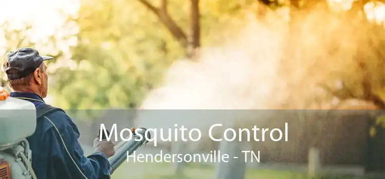 Mosquito Control Hendersonville - TN