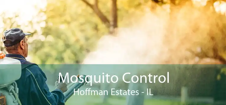 Mosquito Control Hoffman Estates - IL