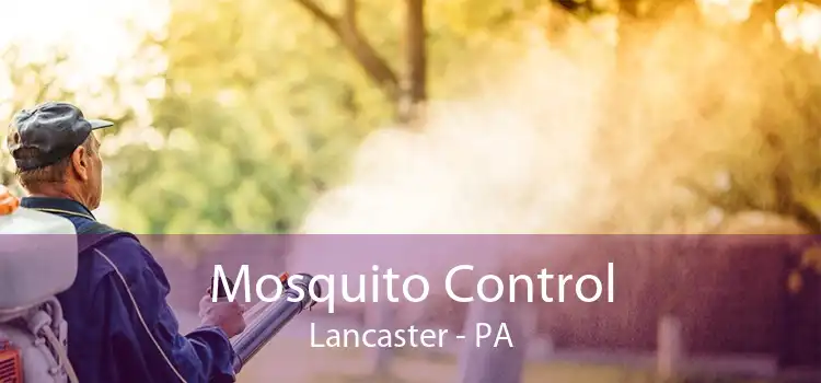 Mosquito Control Lancaster - PA