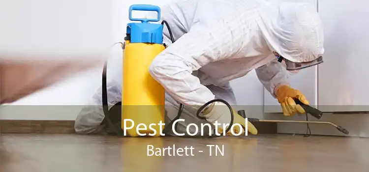 Pest Control Bartlett - TN