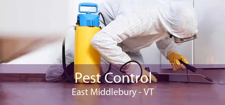 Pest Control East Middlebury - VT