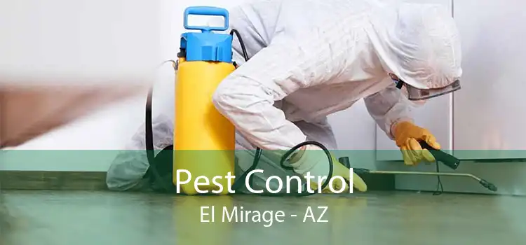 Pest Control El Mirage - AZ