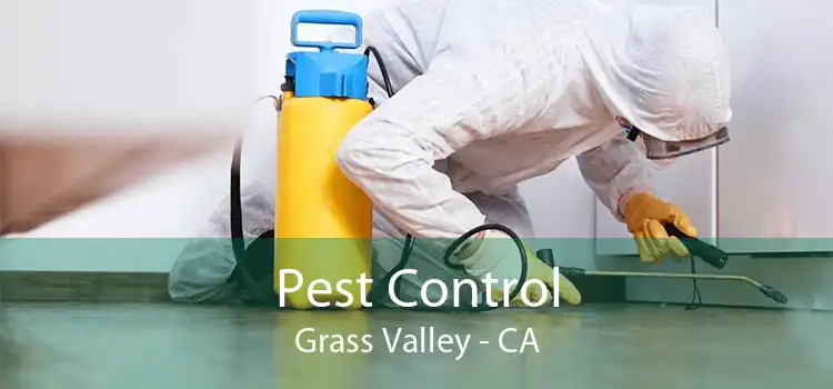 Pest Control Grass Valley - CA