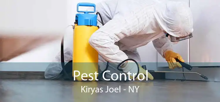 Pest Control Kiryas Joel - NY