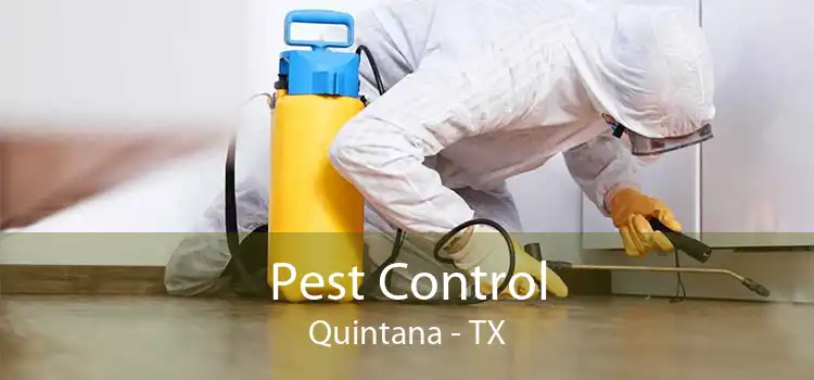 Pest Control Quintana - TX