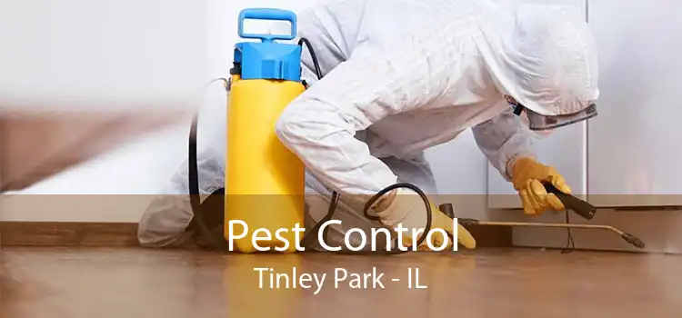 Pest Control Tinley Park - IL