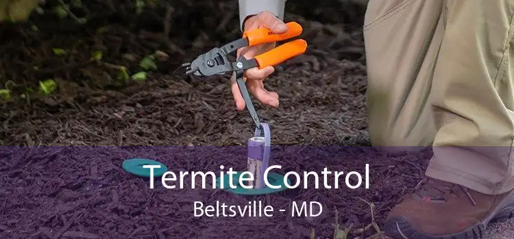 Termite Control Beltsville - MD