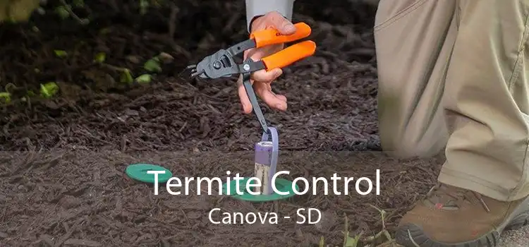 Termite Control Canova - SD