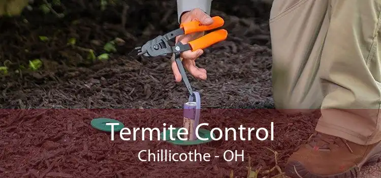 Termite Control Chillicothe - OH