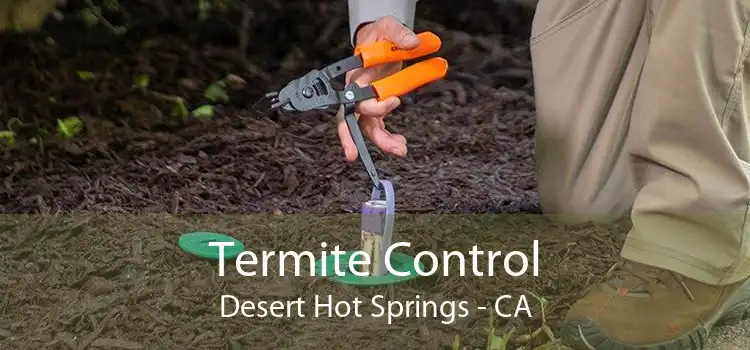 Termite Control Desert Hot Springs - CA