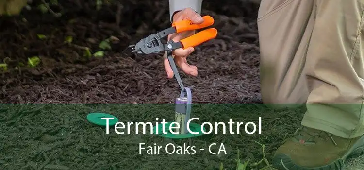 Termite Control Fair Oaks - CA