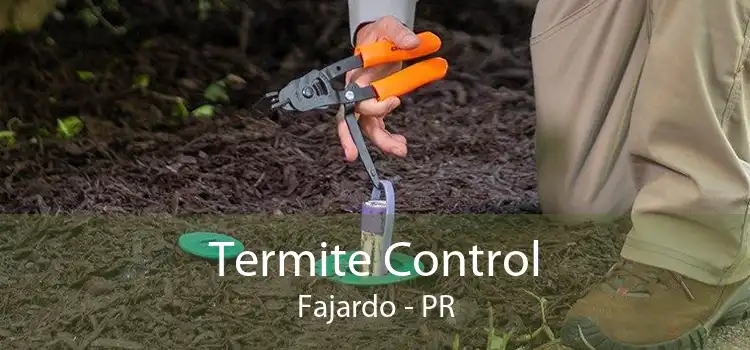 Termite Control Fajardo - PR