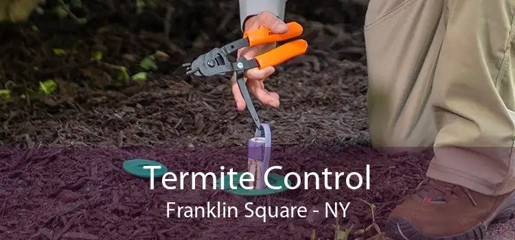 Termite Control Franklin Square - NY