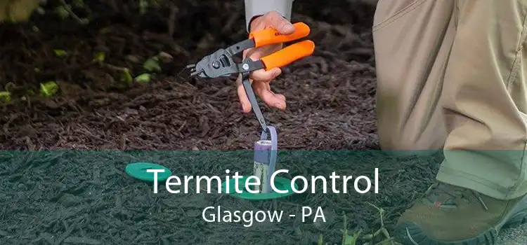 Termite Control Glasgow - PA