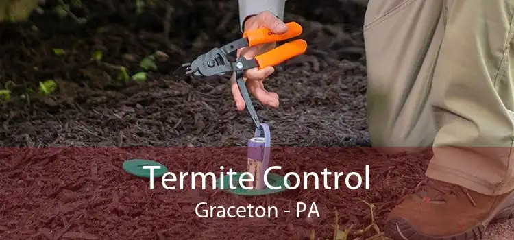 Termite Control Graceton - PA