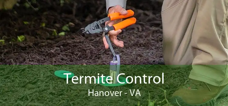 Termite Control Hanover - VA