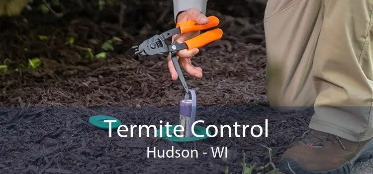 Termite Control Hudson - WI