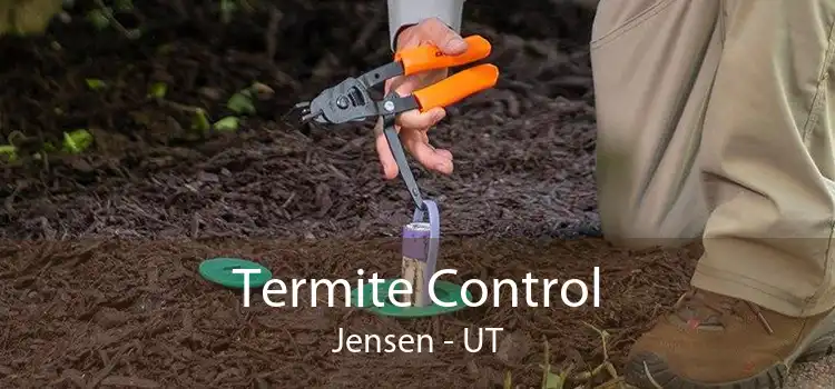 Termite Control Jensen - UT