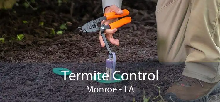 Termite Control Monroe - LA