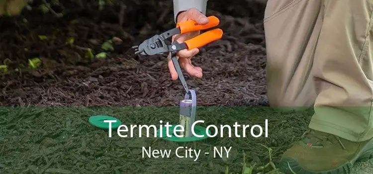 Termite Control New City - NY