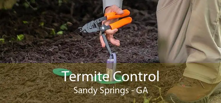 Termite Control Sandy Springs - GA