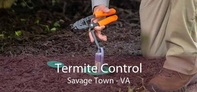 Termite Control Savage Town - VA