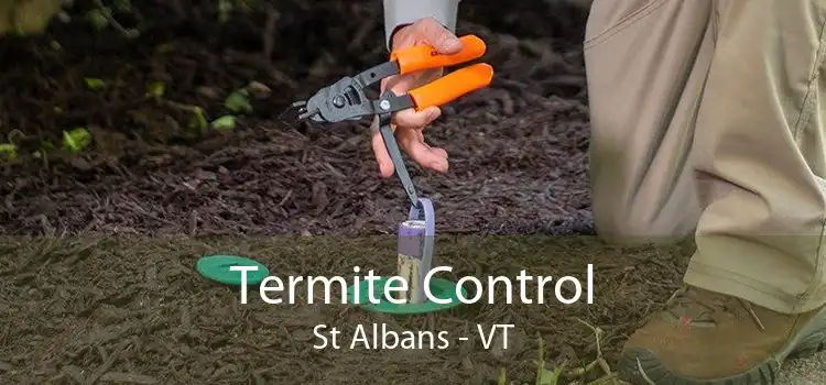 Termite Control St Albans - VT