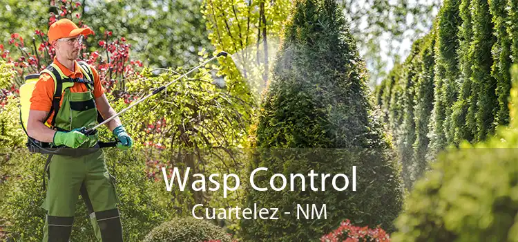 Wasp Control Cuartelez - NM