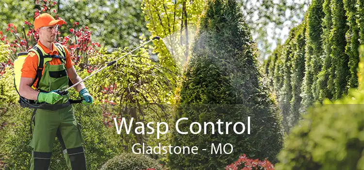 Wasp Control Gladstone - MO