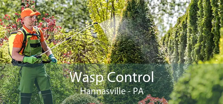 Wasp Control Hannasville - PA