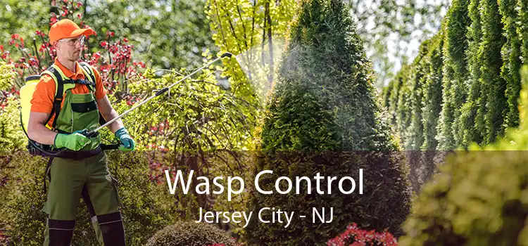 Wasp Control Jersey City - NJ