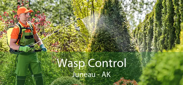 Wasp Control Juneau - AK