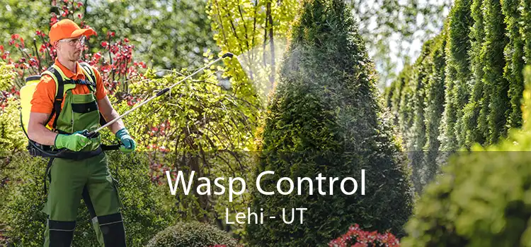 Wasp Control Lehi - UT