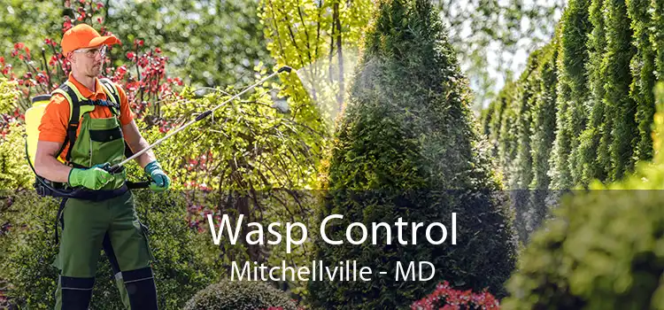 Wasp Control Mitchellville - MD