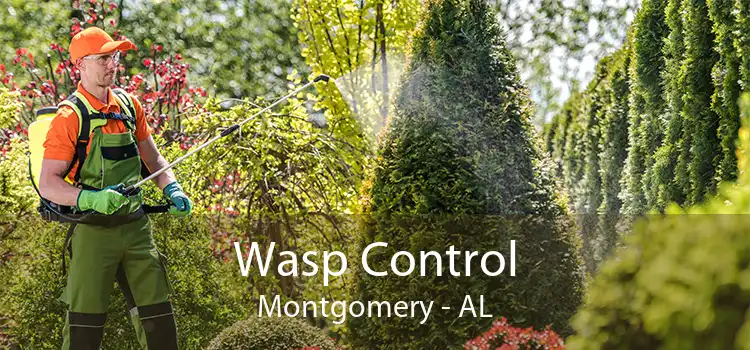 Wasp Control Montgomery - AL