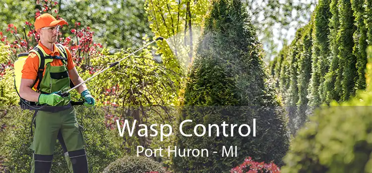 Wasp Control Port Huron - MI